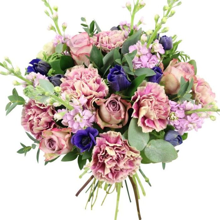 This image presents a richly detailed, hand-tied bouquet isolated against a plain white background, making every hue and texture stand out with clarity, as though it has just been lifted from the counter at Purley Florist. In the centre, generous garden roses in dusty pink, blush, and muted mauve form a romantic focal point, their spiralled petals layered closely together in classic rosette shapes. Surrounding them, abundant ruffled carnations add fullness and dimension; their petals shift gently from creamy, off-white centres to softly blushed edges and deeper rose tones, giving the impression of soft fabric or crimped silk. Deepening the palette, accents of rich indigo and royal blue are woven throughout-some blooms still in smooth, tulip-like buds, others more open-culminating in a striking blue anemone with a dark, almost black heart positioned towards the lower front of the bouquet. Slender stalks of pale lavender and lilac stock rise delicately through the design, their small, closely packed flowers creating vertical lines and an airy, almost cloud-like texture, reminiscent of cottage gardens tucked away around nearby Kenley and Riddlesdown. The bouquet is framed by generous greenery: rounded, silvery eucalyptus leaves and darker, glossy foliage that fill the spaces between flowers, enhancing the overall freshness and structure. At the bottom, the stems are clearly visible, neatly gathered and bound, a subtle reminder of the skill and care taken in its creation and its readiness for same-day delivery across Purley and surrounding CR8 postcodes. The arrangement conveys an air of quiet luxury and tenderness, ideal for weddings, anniversaries, or any special occasion where you want to send a message of enduring affection and support.